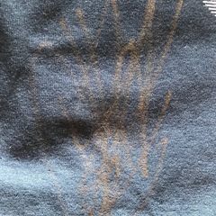 プロレスTシャツの画像