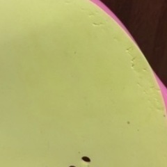 お風呂用ベビーチェアの画像