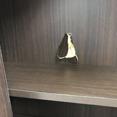 ★リユースのサカイ春日部店★KJ11439  スライド本棚 ブラウン H180×W80×D30 クリーニング済みの画像
