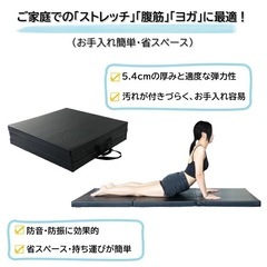 サロン用 マット　フィットエリートの画像