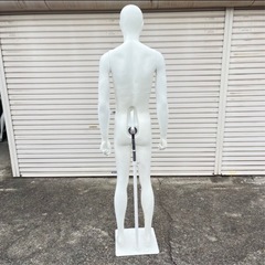 トルソー マネキン 男性 全身の画像