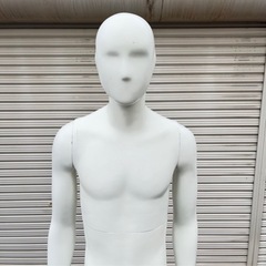 トルソー マネキン 男性 全身の画像