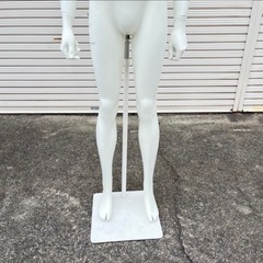 トルソー マネキン 男性 全身の画像