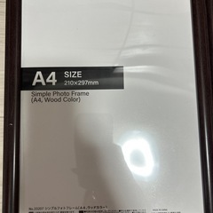 額　３枚セットの画像