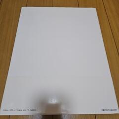 宮沢りえ　サンタフェの画像