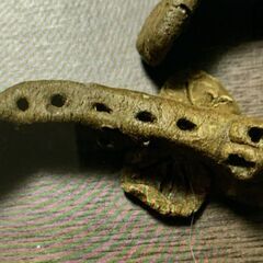 箸置き むつごろう 唐津焼　置物 陶器６個の画像