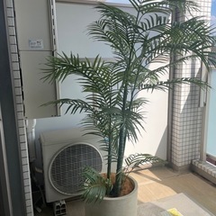 フェイクグリーン　の画像