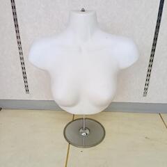 レデース卓上ハーフトルソーマネキン現金手渡し希望です。の画像