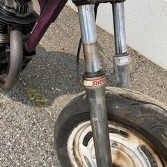 エイプ50の画像