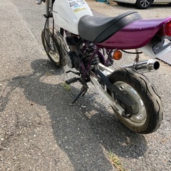 エイプ50の画像