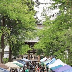 沙沙貴杜遊 ～秋の杜遊～
