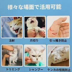 猫 爪切り マスク 猫用マスク 爪切り 嫌がる 対策 目隠し 猫用マズル 暴れる対策Mサイズの画像