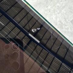 【人気色‼️ガラスローテーブル】の画像