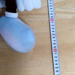 ミッキーマウス ぬいぐるみ 「ディズニー100」 【j327】の画像