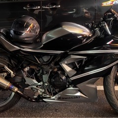 NINJA250slの画像