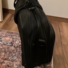 【機内持込可☆】Mr.JUNKO キャリーバッグ ビジネスバッグの画像