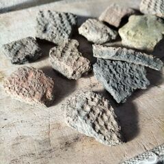 めったに市場に出ない激レア求人！遺跡発掘スタッフで歴史的発見！の画像