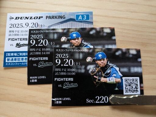 ９月２０日エスコンフィールド ファイターズVS千葉ロッテマリーンズ　ペアチケット＆A3駐車場券付き