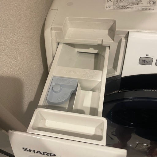 シャープ　2019年式　ドラム式洗濯機