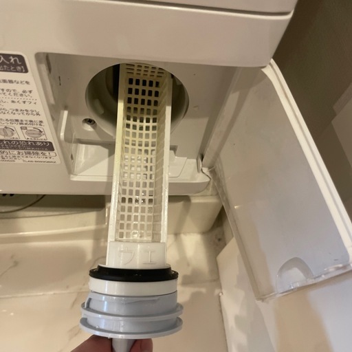 シャープ　2019年式　ドラム式洗濯機