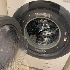 シャープ 2019年式 ドラム式洗濯機
