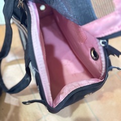 【取引中】小型犬　キャリーバッグの画像