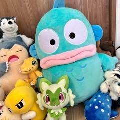 ポケモンハンギョドンなどぬいぐるみの画像
