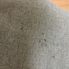 座椅子
の画像