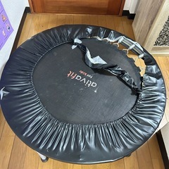 今日処分します
トランポリン　布なしの画像