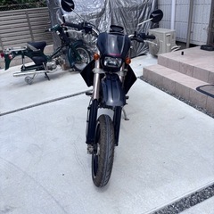 Dトラッカー250の画像