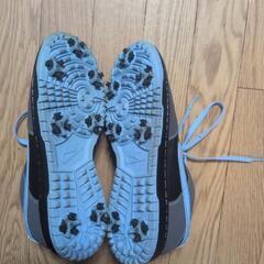 【♥Nikeダンクシューズ♥】26.5cmの画像