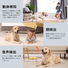 NGTeco 見守りカメラC2700 子供 猫 犬 暗視撮影ペットカメラ モーション検知　転売OK　倒産品　まとめ売り　ネット商材　アマゾン引き上げ商品　メルカリ　副業の画像