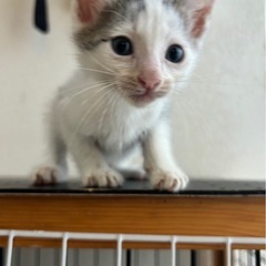 甘えん坊な男の子