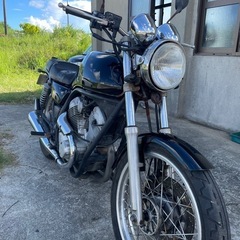SRV250の画像