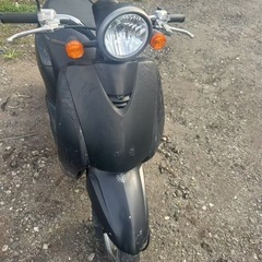 ホンダ 原付スクーター 🛵の画像