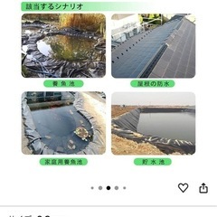 プールライナーの画像