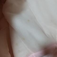 HANAE MORI  ボアーケット   敷パッド※訳あり、難ありの画像