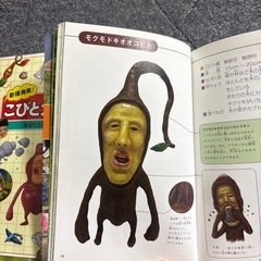 こびと図鑑の画像