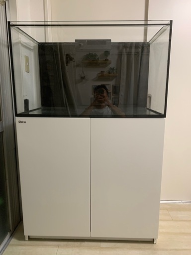 Red Sea Refffer 250
 レッドシーリーファー250