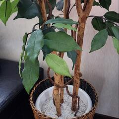 観葉植物　造花　の画像