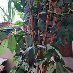 観葉植物　造花　の画像