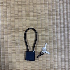 ワイヤーロック カギ式 の画像