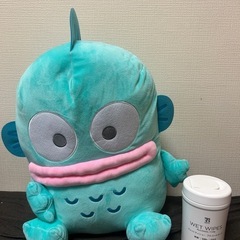 ハンギョドン　セットの画像