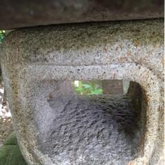 灯籠　竿に彫られた2本の花が特徴　曲線的で柔らかな印象　レアの画像