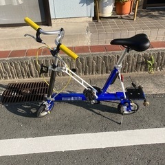 Pacific Carryme折りたたみ自転車 カーボンパーツカスタム
の画像