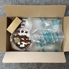 ヒラタクワガタ  ♂単品の画像