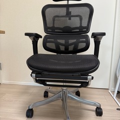 Ergohuman PRO OTTOMAN（エルゴヒューマン プロ オットマン付き）の画像
