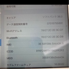 iPad mini3の画像