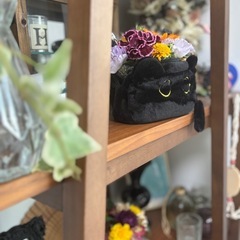 9/30(火)黒猫アレンジメントワークショップの画像