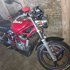 決まりました🙇‍♀️スズキ バンディット250の画像